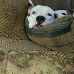 Meet your Posher, Lori